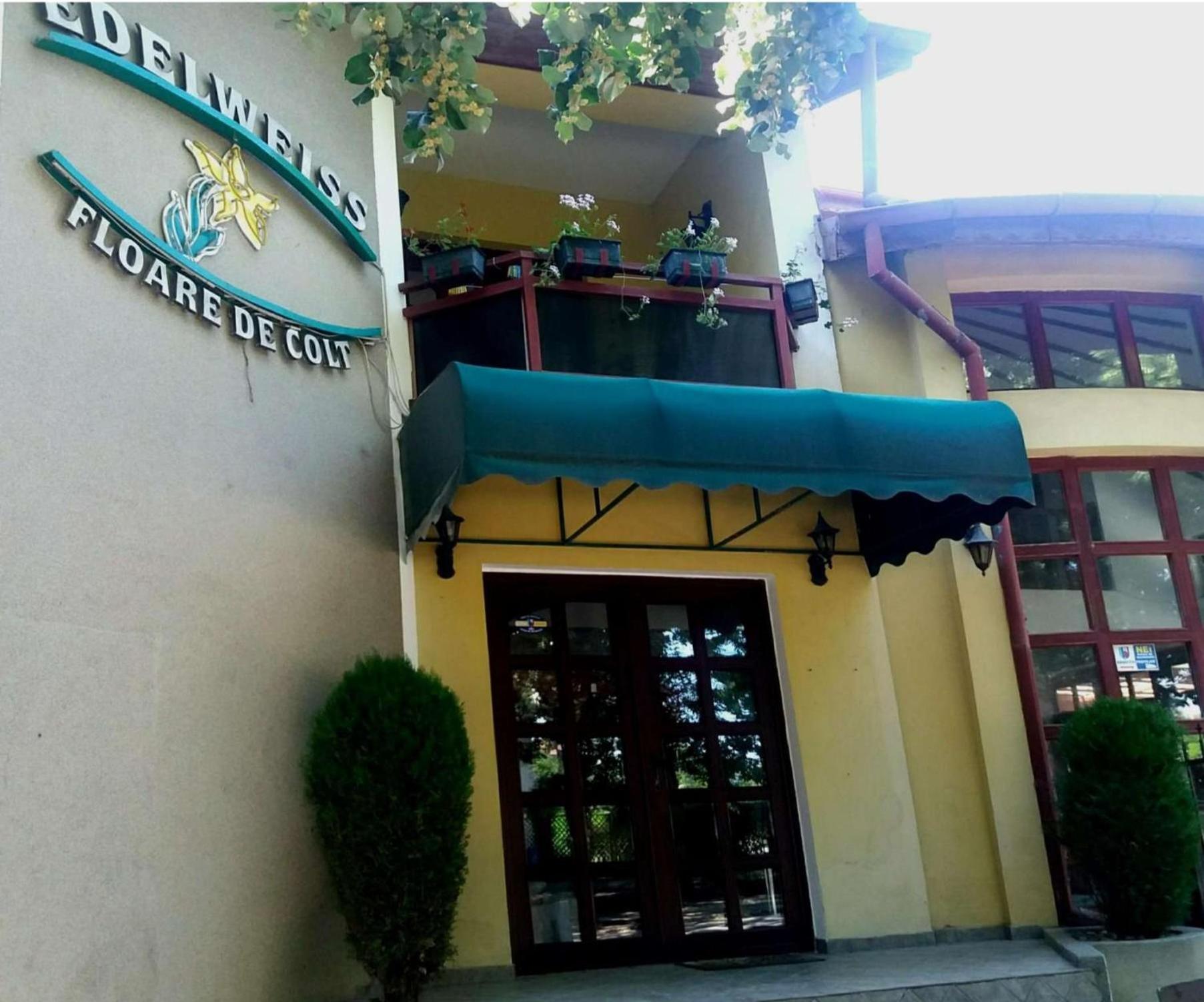 Pension Edelweiss מראה חיצוני תמונה