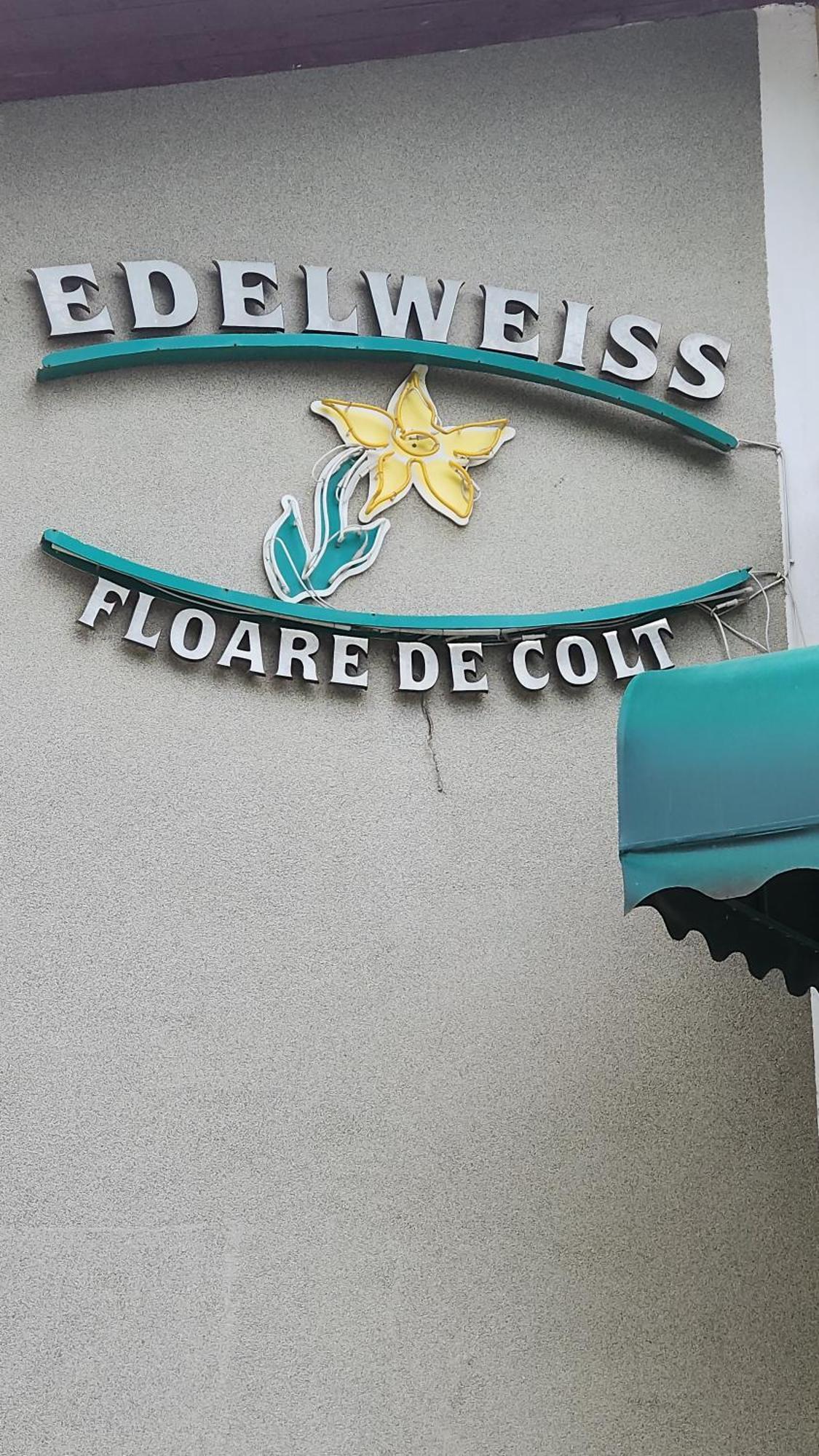 Pension Edelweiss מראה חיצוני תמונה