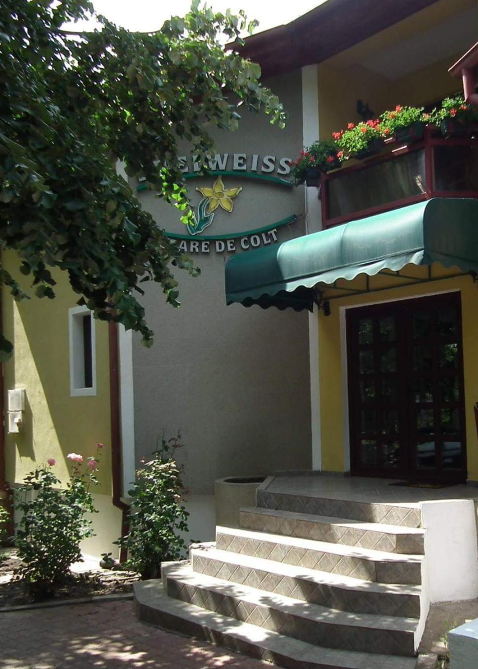 Pension Edelweiss מראה חיצוני תמונה